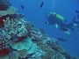 06Moorea - 021